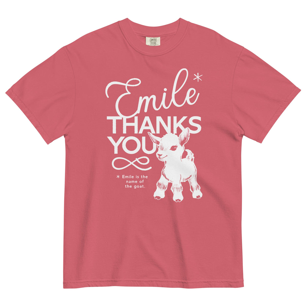 Emile Thanks You Men's Relaxed Fit Tee product image 6
