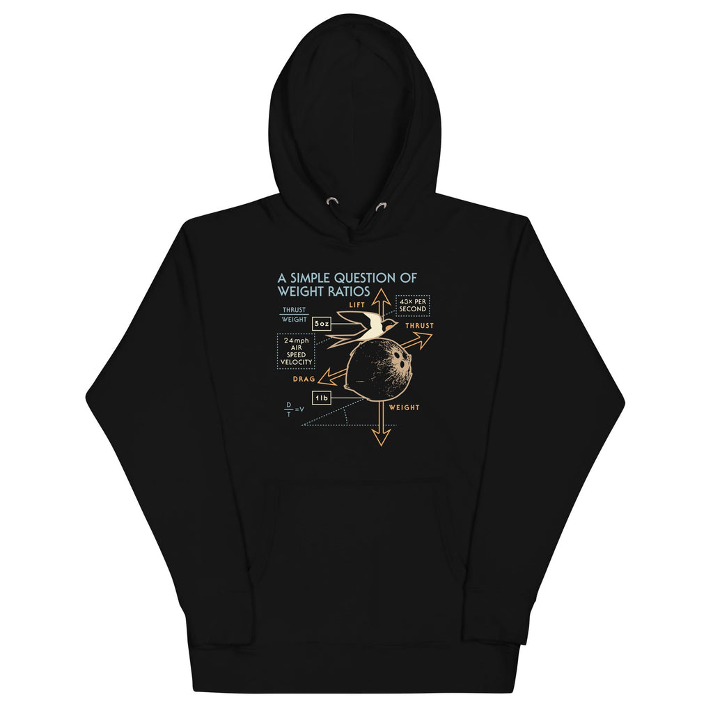 A Simple Question Of Weight Ratios Unisex Hoodie product image 2
