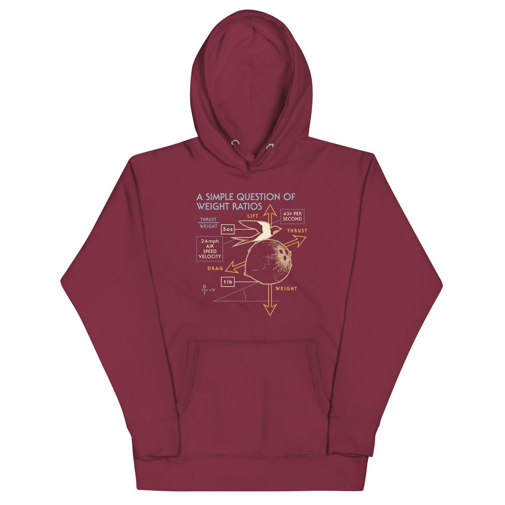 A Simple Question Of Weight Ratios Unisex Hoodie product image 3