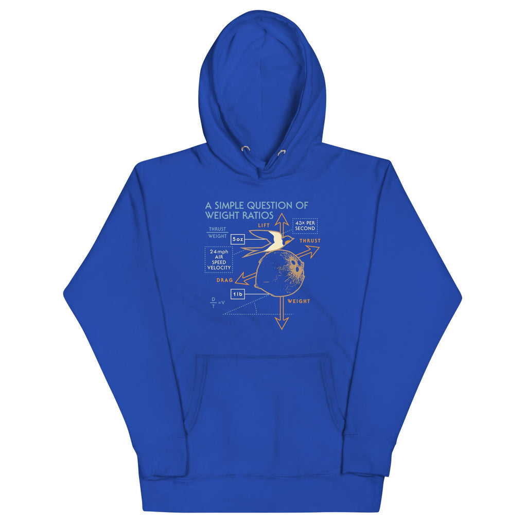 A Simple Question Of Weight Ratios Unisex Hoodie product image 4