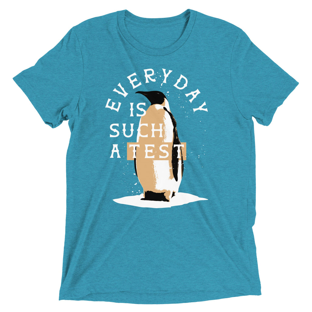 Everyday Is Such A Test Men's Tri-Blend Tee product image 6
