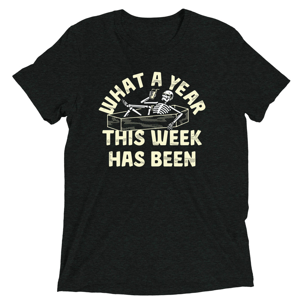 What A Year This Week Has Been Men's Tri-Blend Tee product image 1