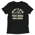 What A Year This Week Has Been Men's Tri-Blend Tee product image 1