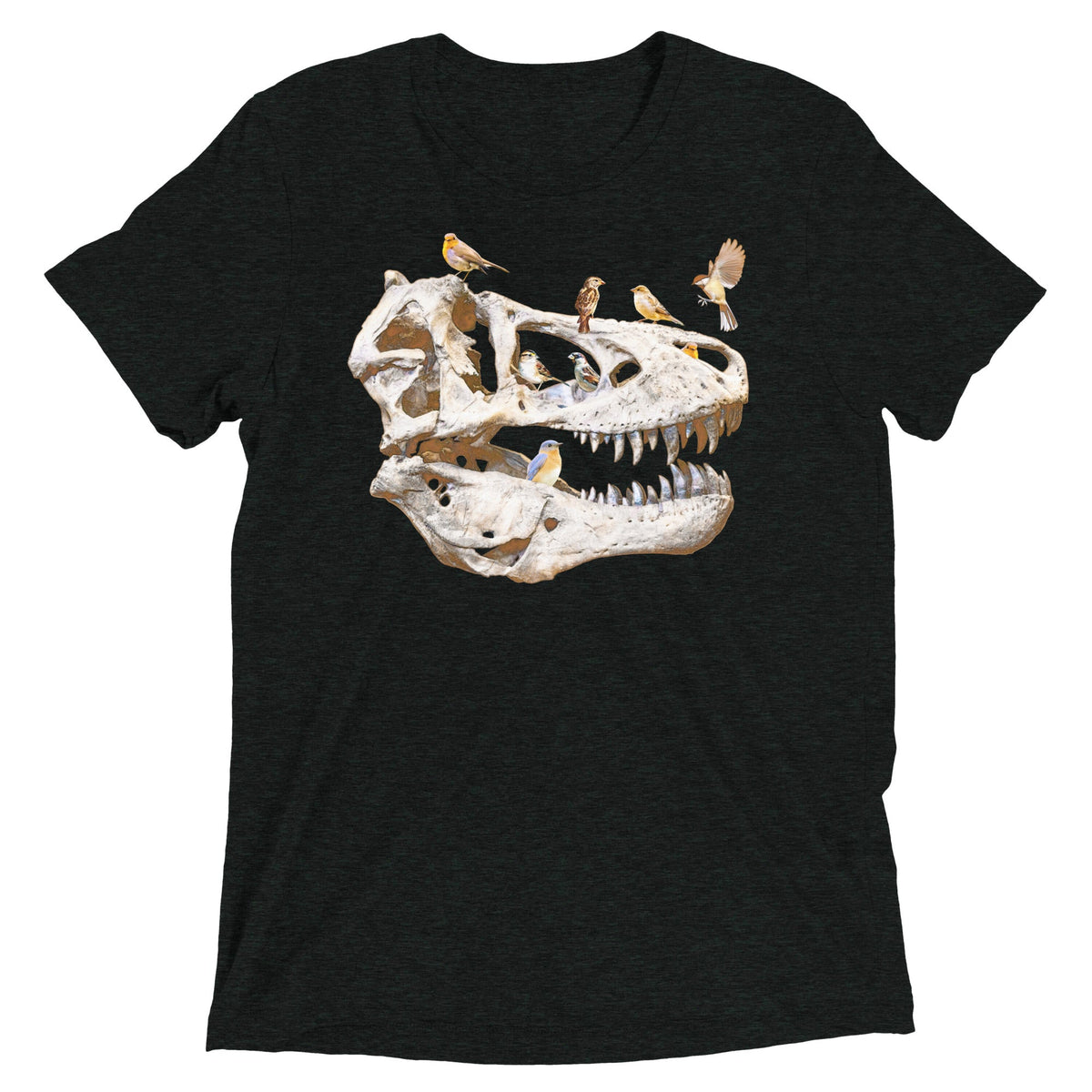 Bird Bones Men's Tri-Blend Tee product image 2