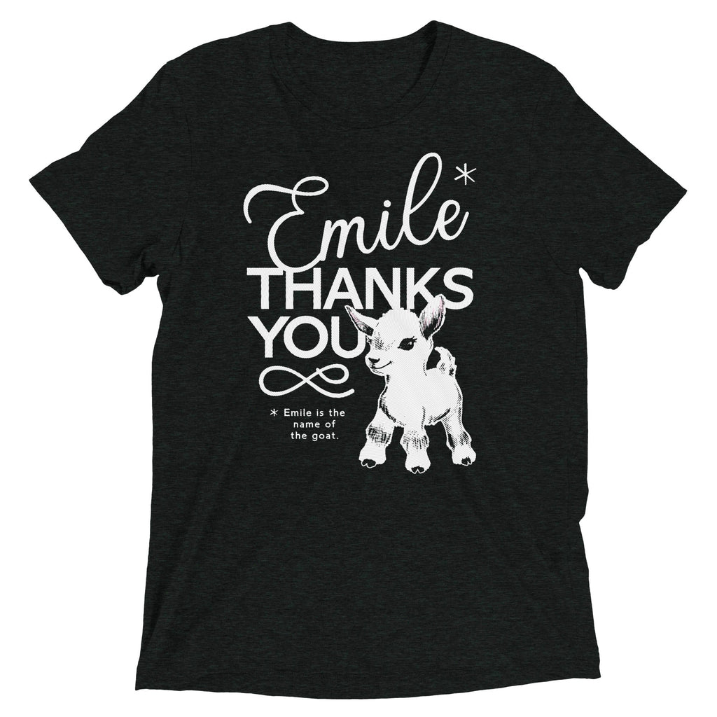 Emile Thanks You Men's Tri-Blend Tee product image 3