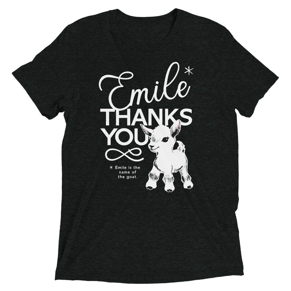 Emile Thanks You Men's Tri-Blend Tee product image 3