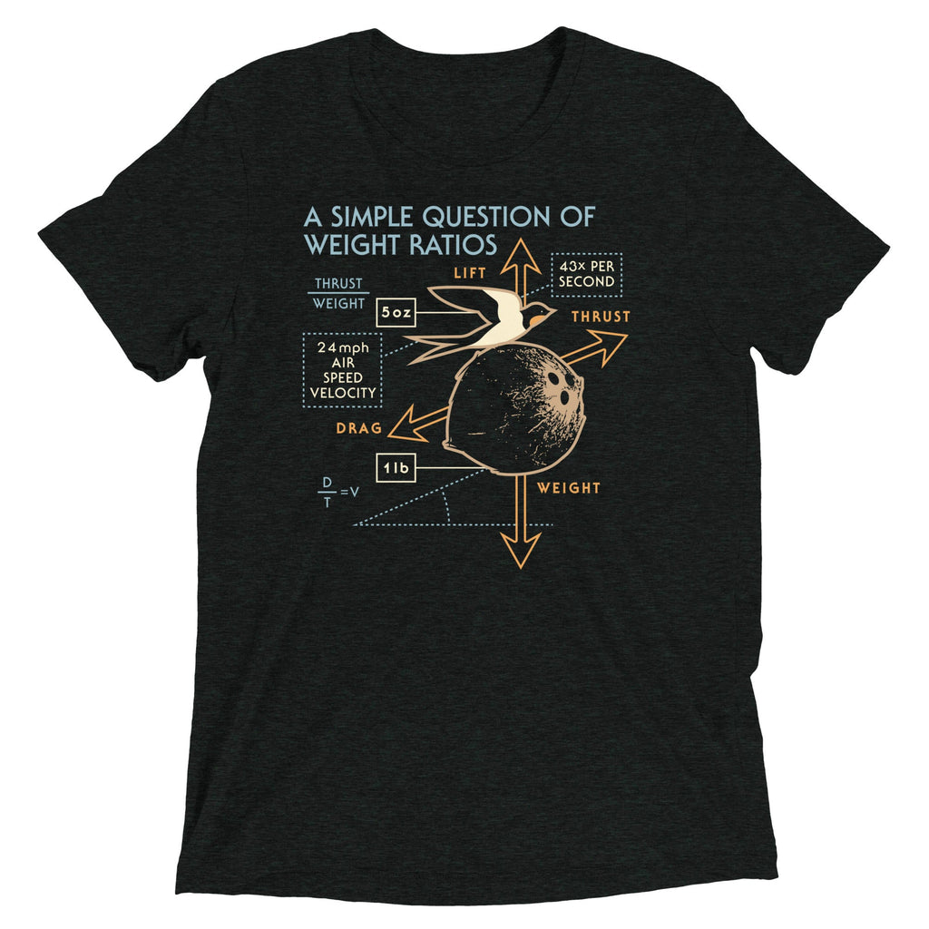 A Simple Question Of Weight Ratios Men's Tri-Blend Tee product image 2