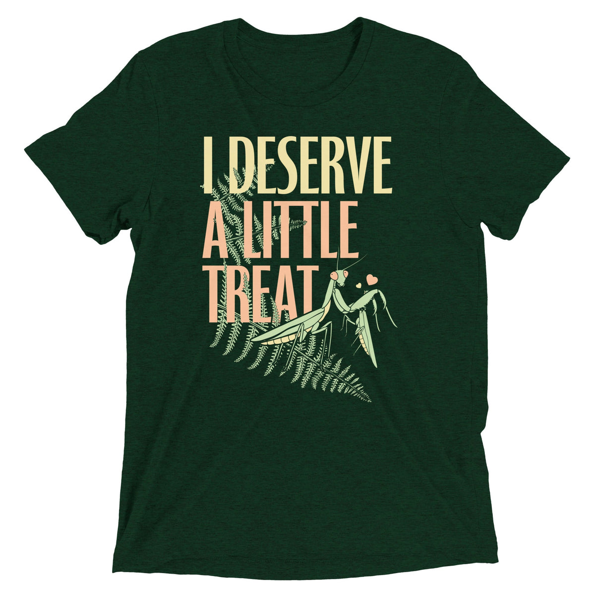 I Deserve A Little Treat Men's Tri-Blend Tee product image 1