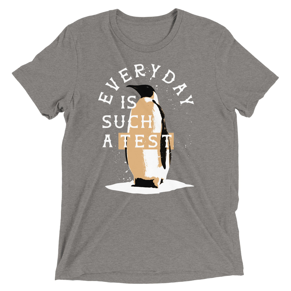 Everyday Is Such A Test Men's Tri-Blend Tee product image 1