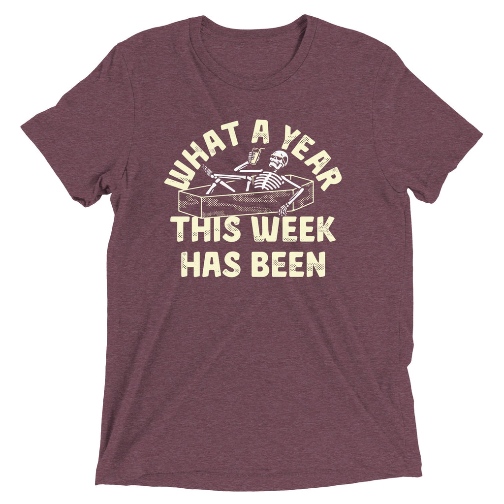 What A Year This Week Has Been Men's Tri-Blend Tee product image 6