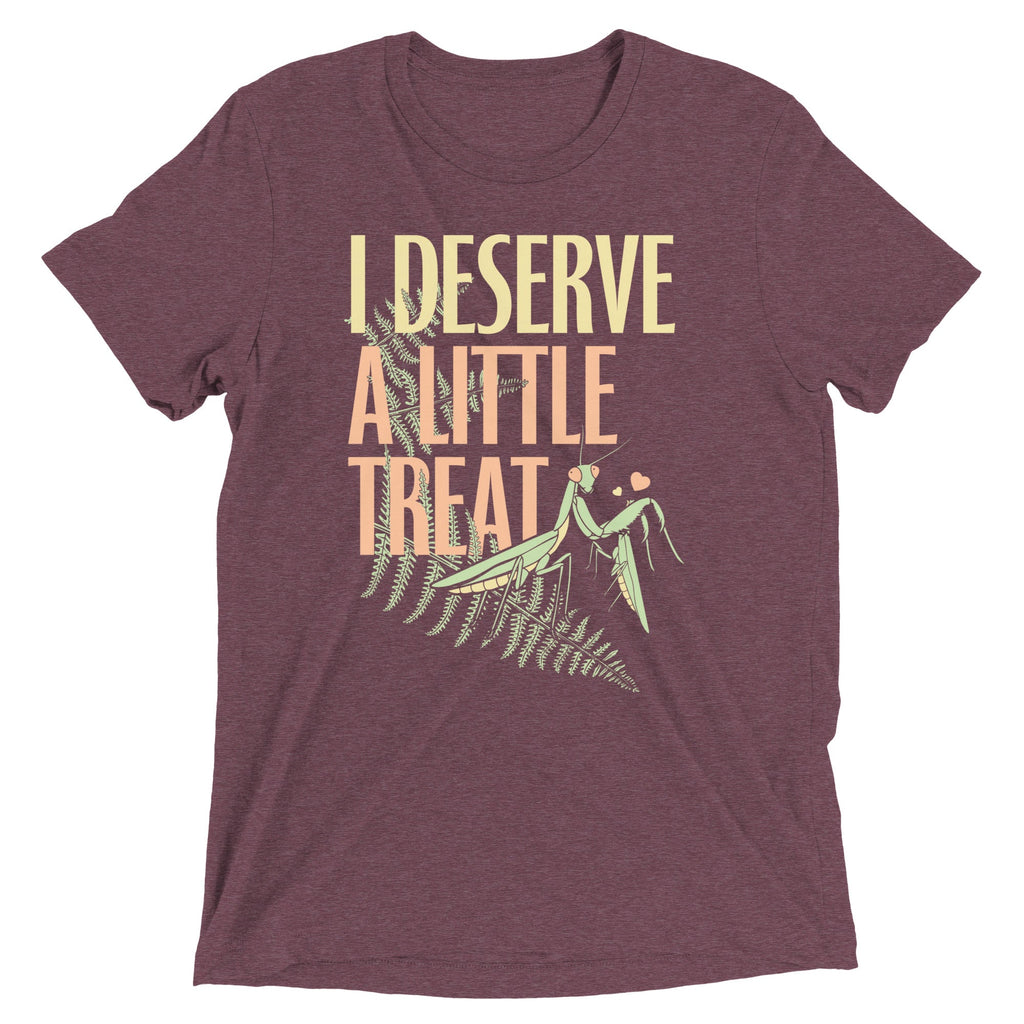 I Deserve A Little Treat Men's Tri-Blend Tee product image 7