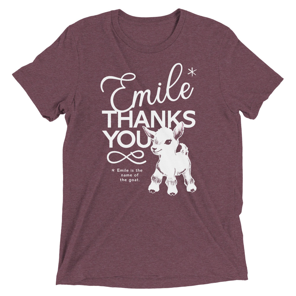 Emile Thanks You Men's Tri-Blend Tee product image 5