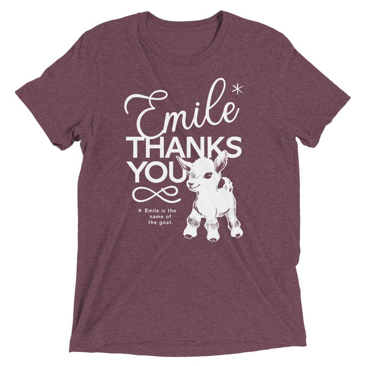 Emile Thanks You Men's Tri-Blend Tee product image 5