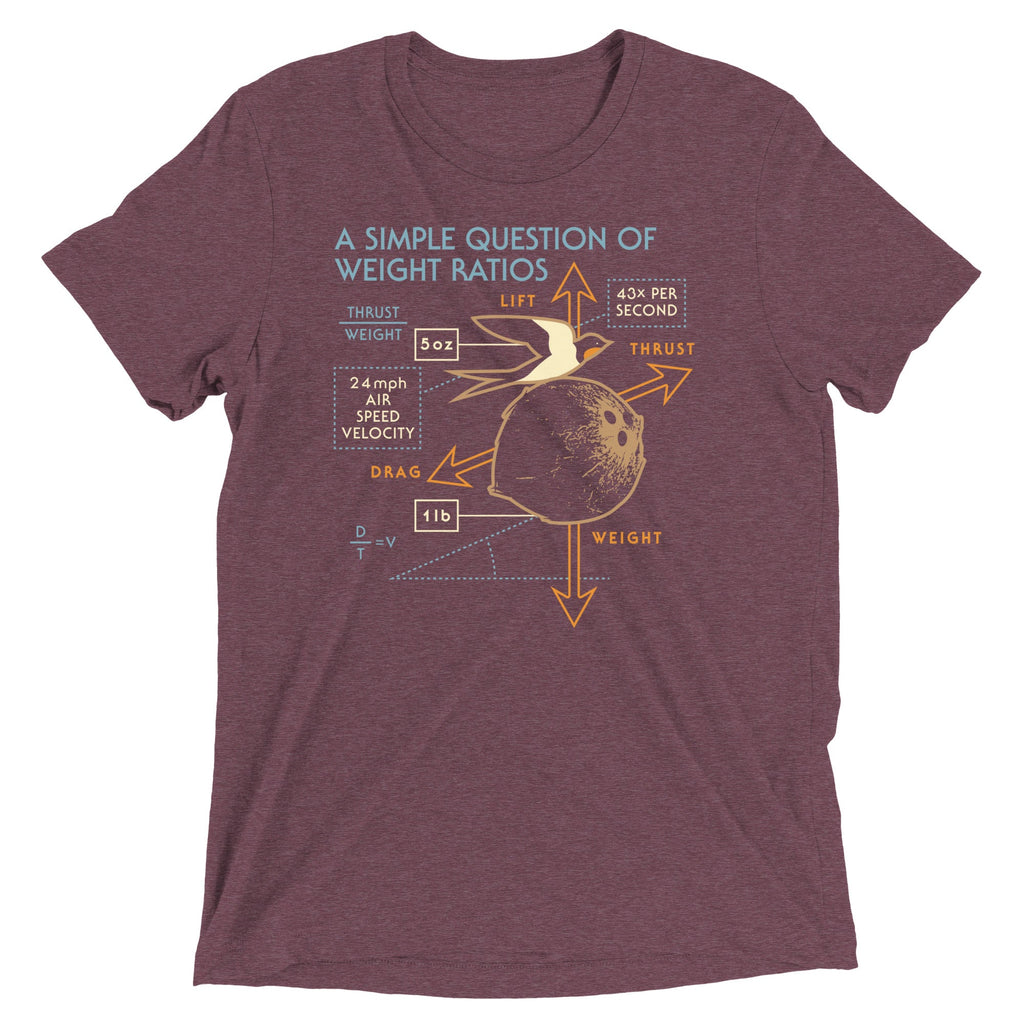 A Simple Question Of Weight Ratios Men's Tri-Blend Tee product image 5