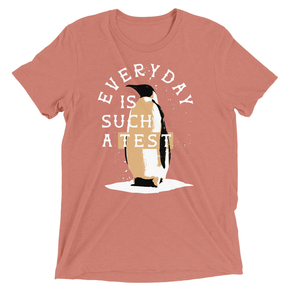 Everyday Is Such A Test Men's Tri-Blend Tee product image 7