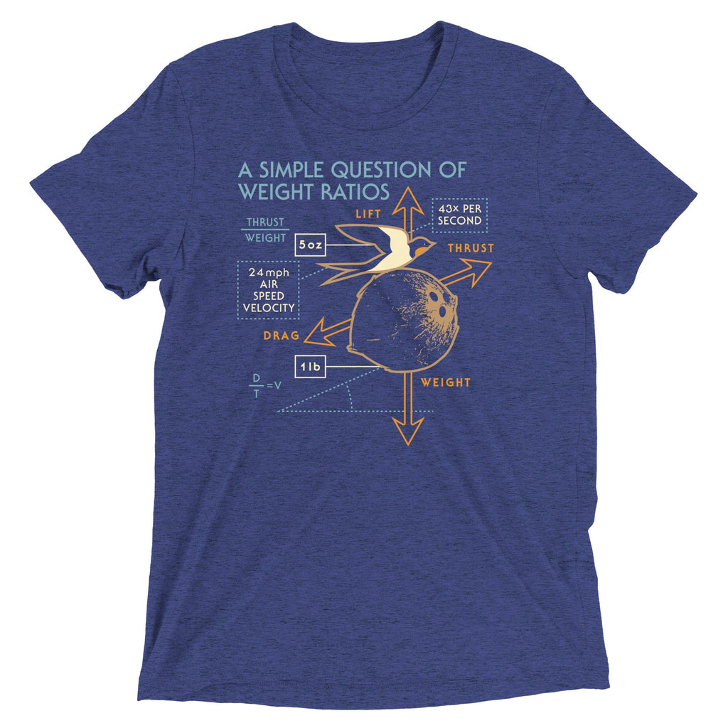 A Simple Question Of Weight Ratios Men's Tri-Blend Tee product image 1