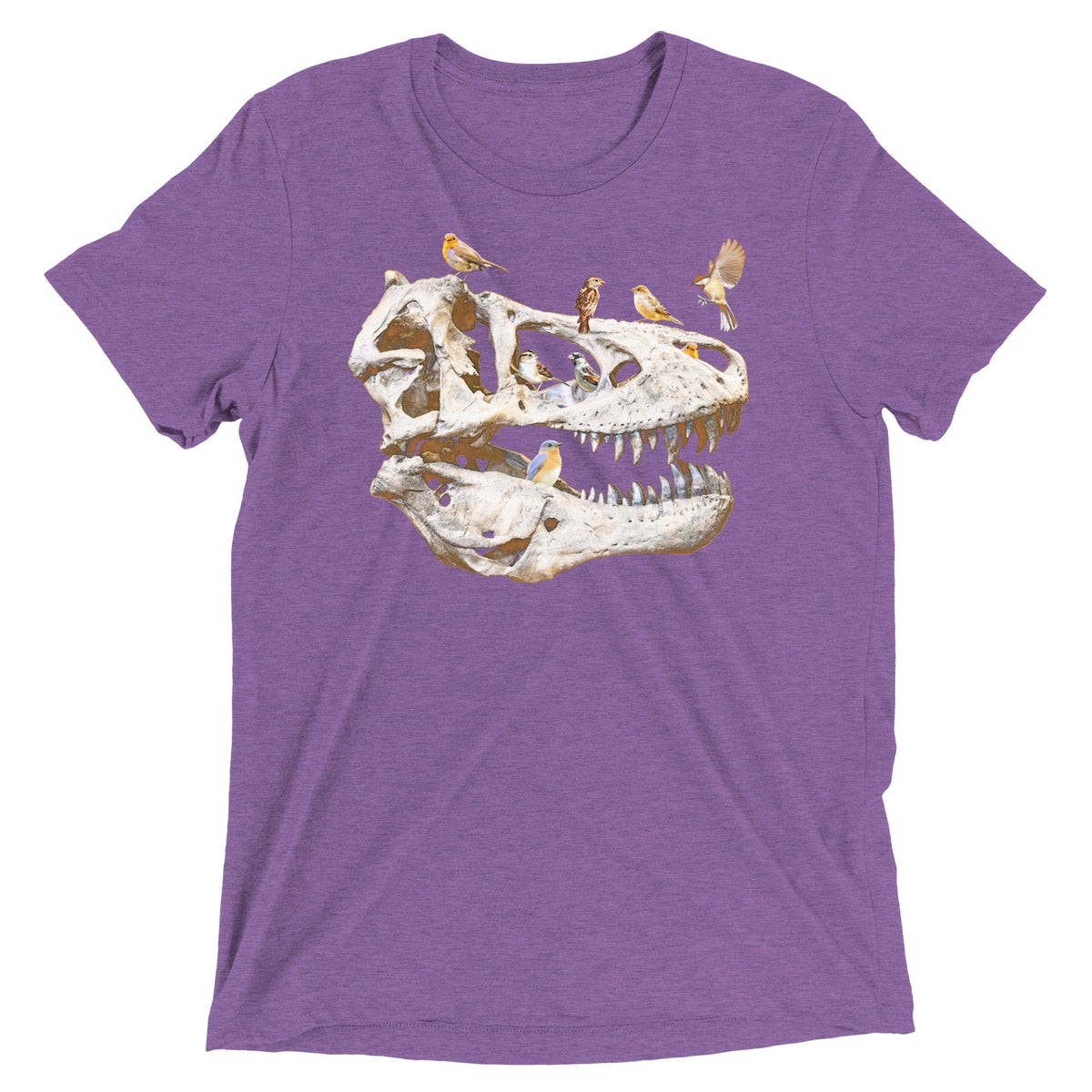 Bird Bones Men's Tri-Blend Tee product image 5