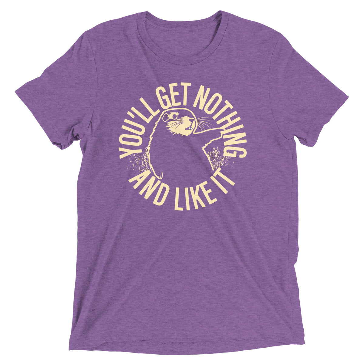 You'll Get Nothing And Like It Men's Tri-Blend Tee product image 4