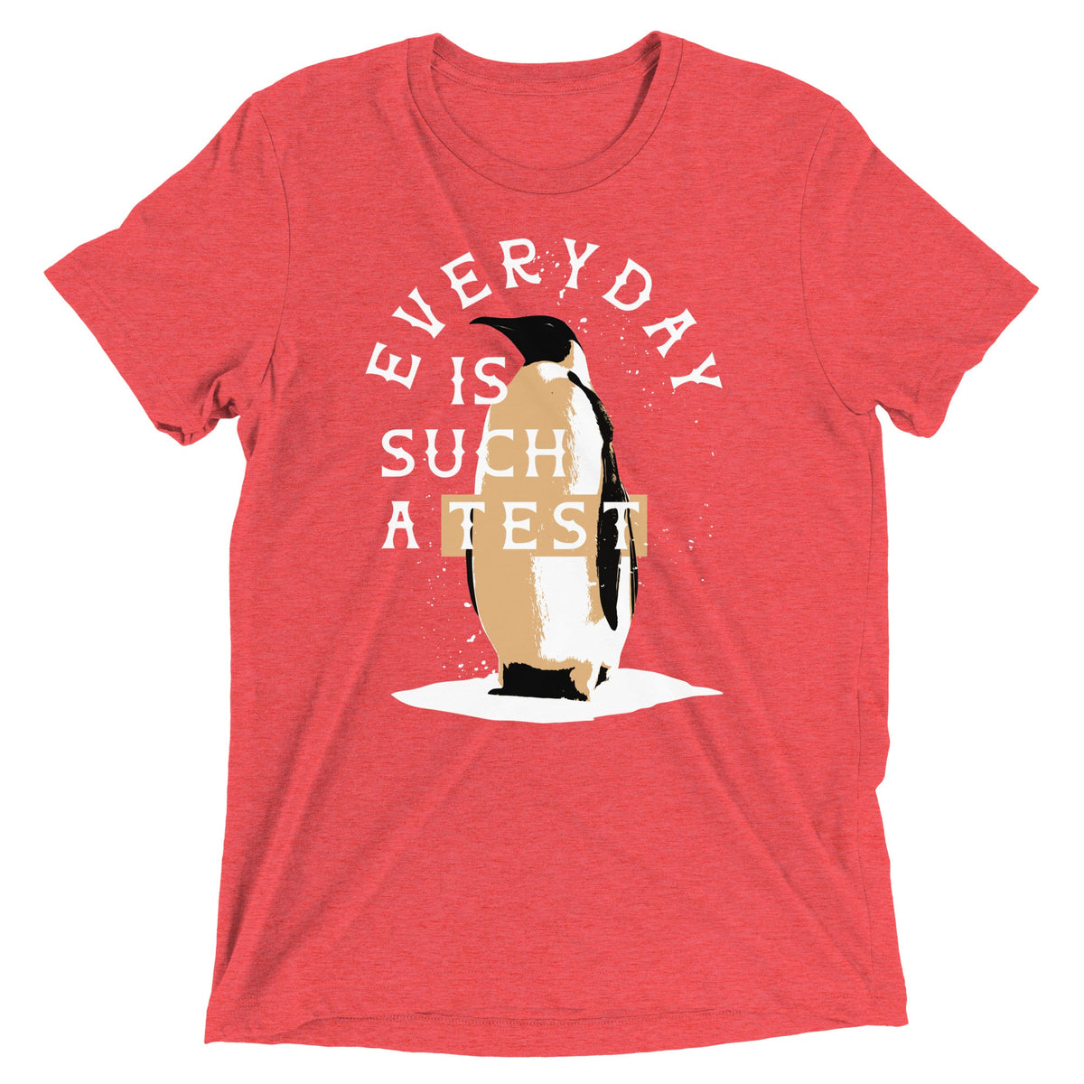 Everyday Is Such A Test Men's Tri-Blend Tee product image 4