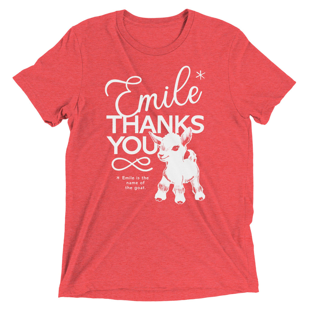 Emile Thanks You Men's Tri-Blend Tee product image 6