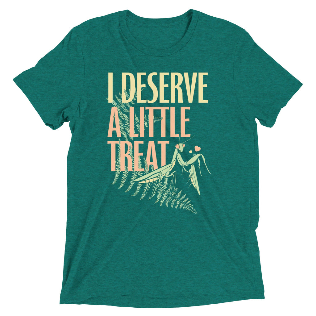 I Deserve A Little Treat Men's Tri-Blend Tee product image 6