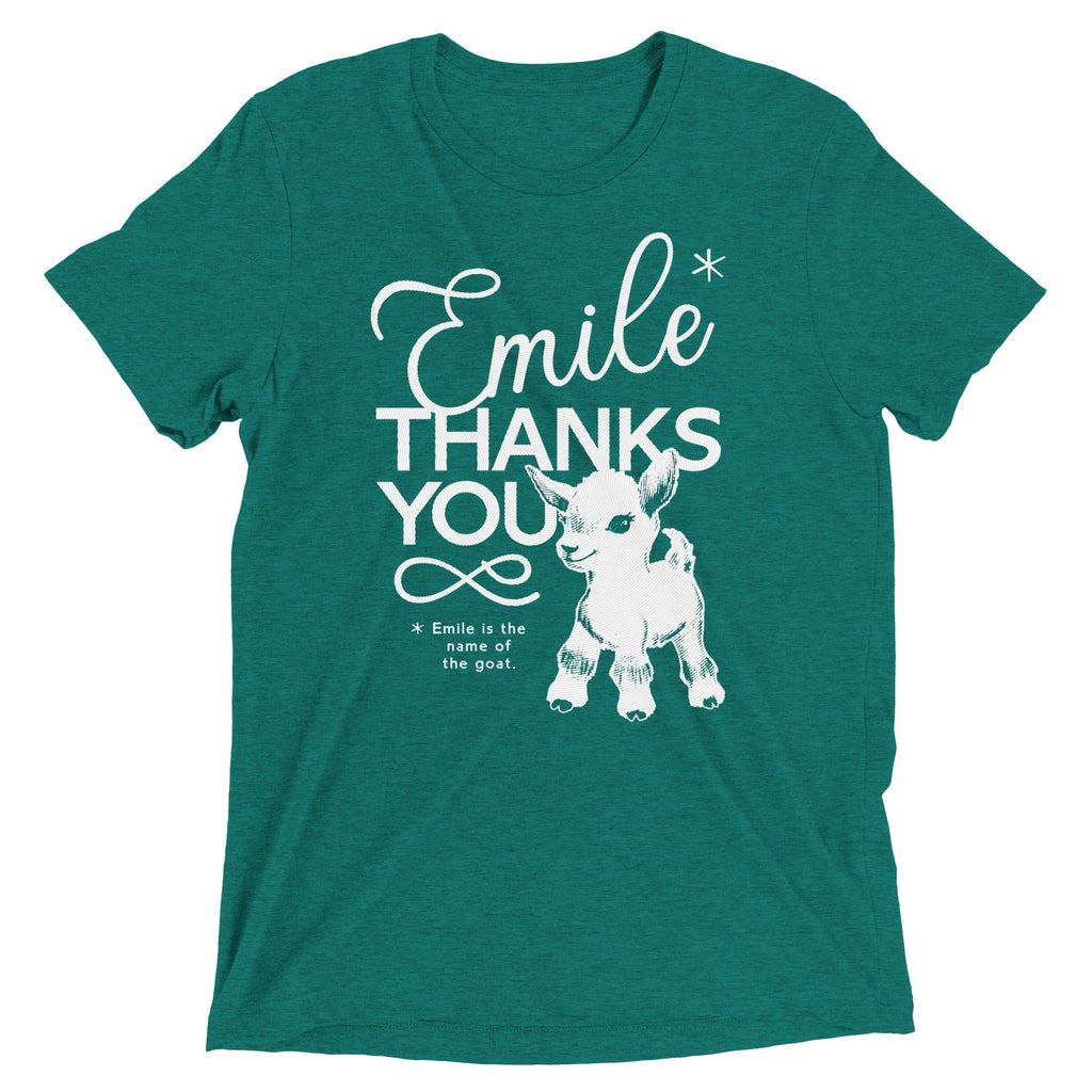 Emile Thanks You Men's Tri-Blend Tee product image 2