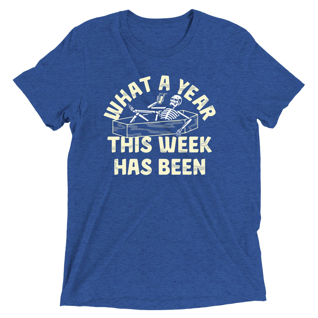 What A Year This Week Has Been Men's Tri-Blend Tee product image 2