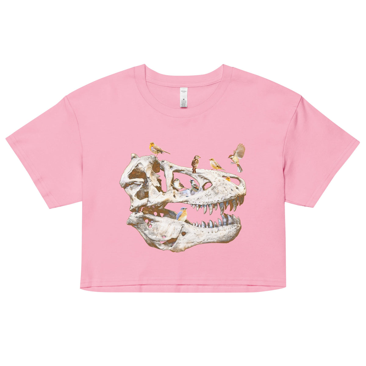 Bird Bones Women's Crop Tee product image 4