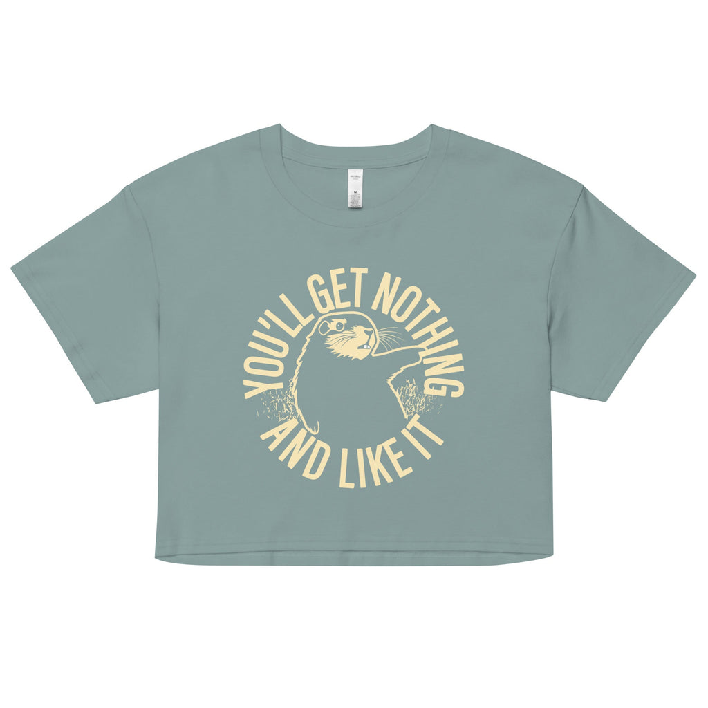 You'll Get Nothing And Like It Women's Crop Tee product image 1