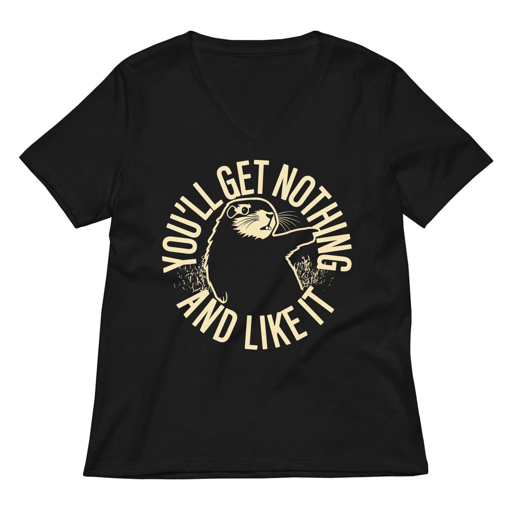 You'll Get Nothing And Like It Women's V-Neck Tee product image 2