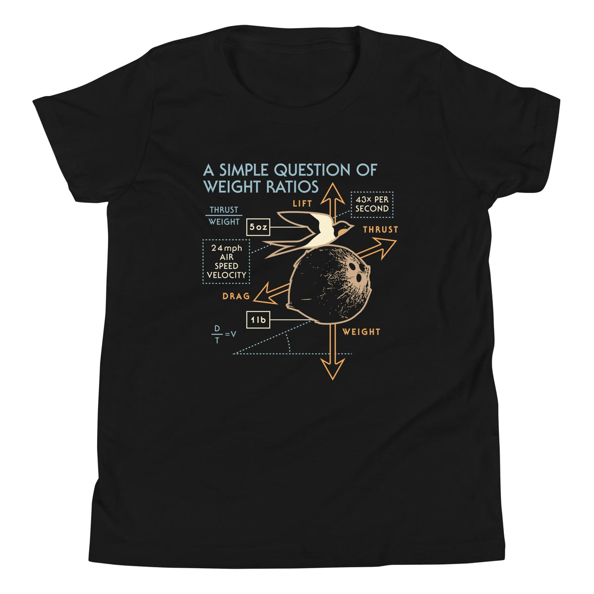 A Simple Question Of Weight Ratios Kid's Youth Tee product image 2