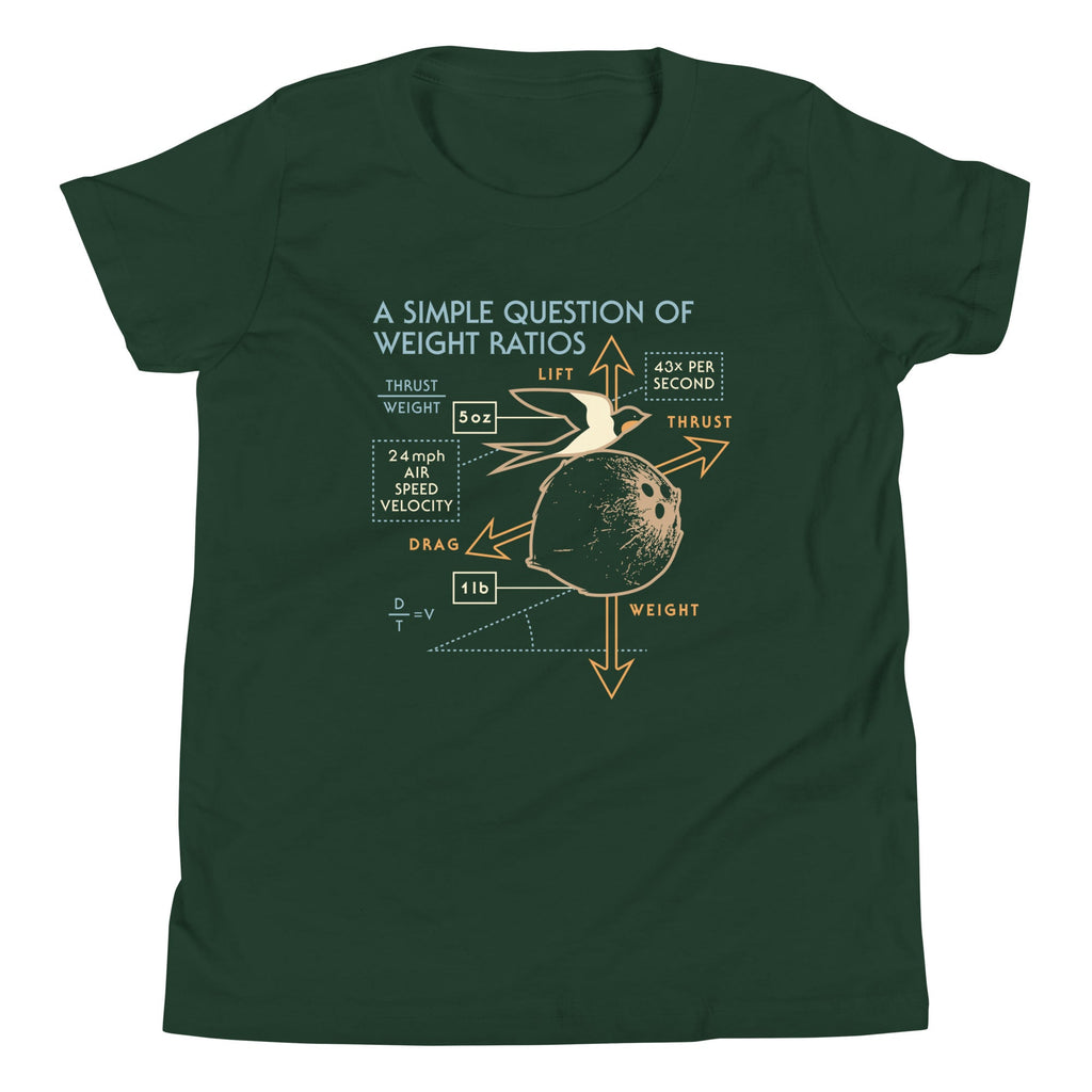 A Simple Question Of Weight Ratios Kid's Youth Tee product image 4