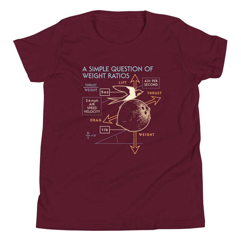 A Simple Question Of Weight Ratios Kid's Youth Tee product image 3
