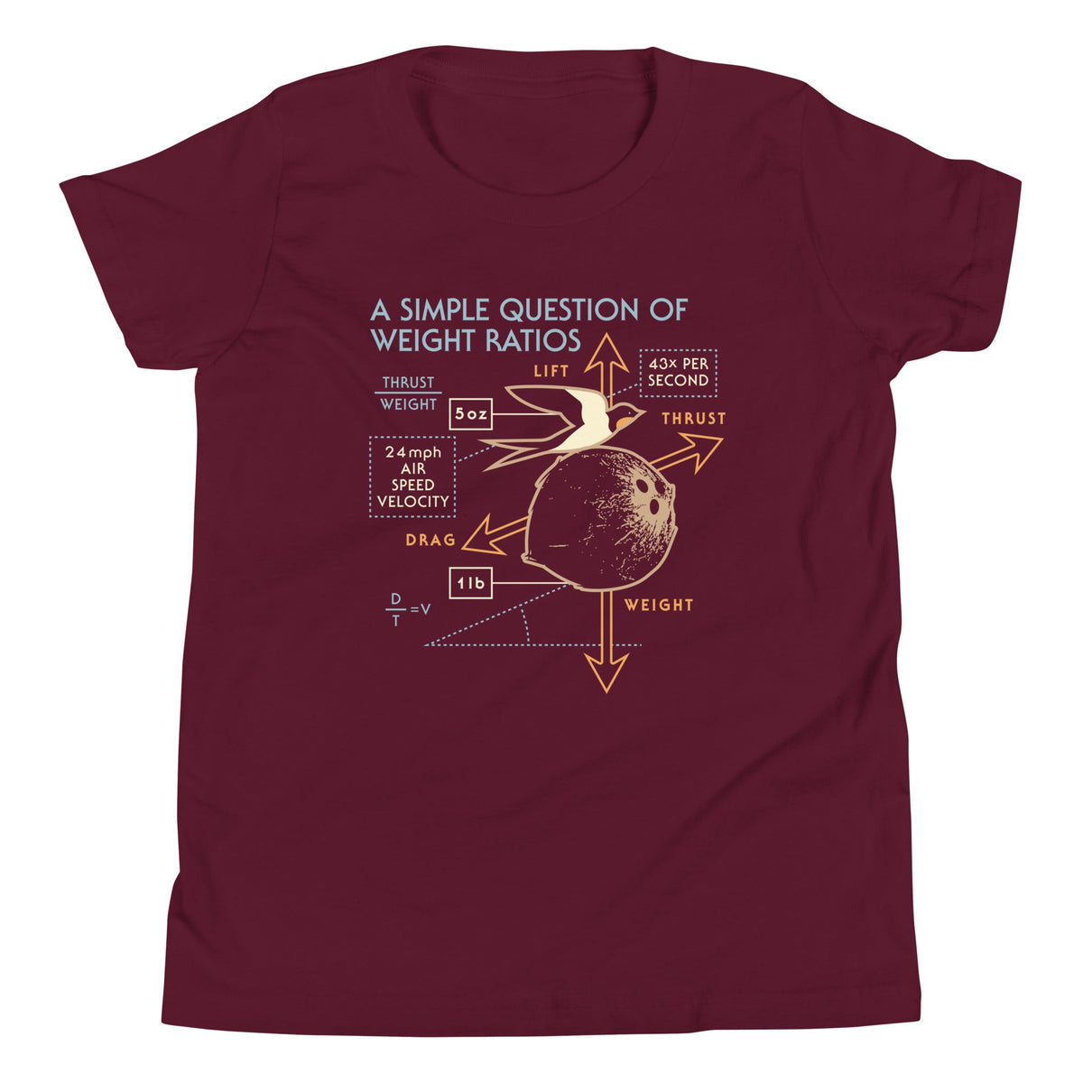 A Simple Question Of Weight Ratios Kid's Youth Tee product image 3